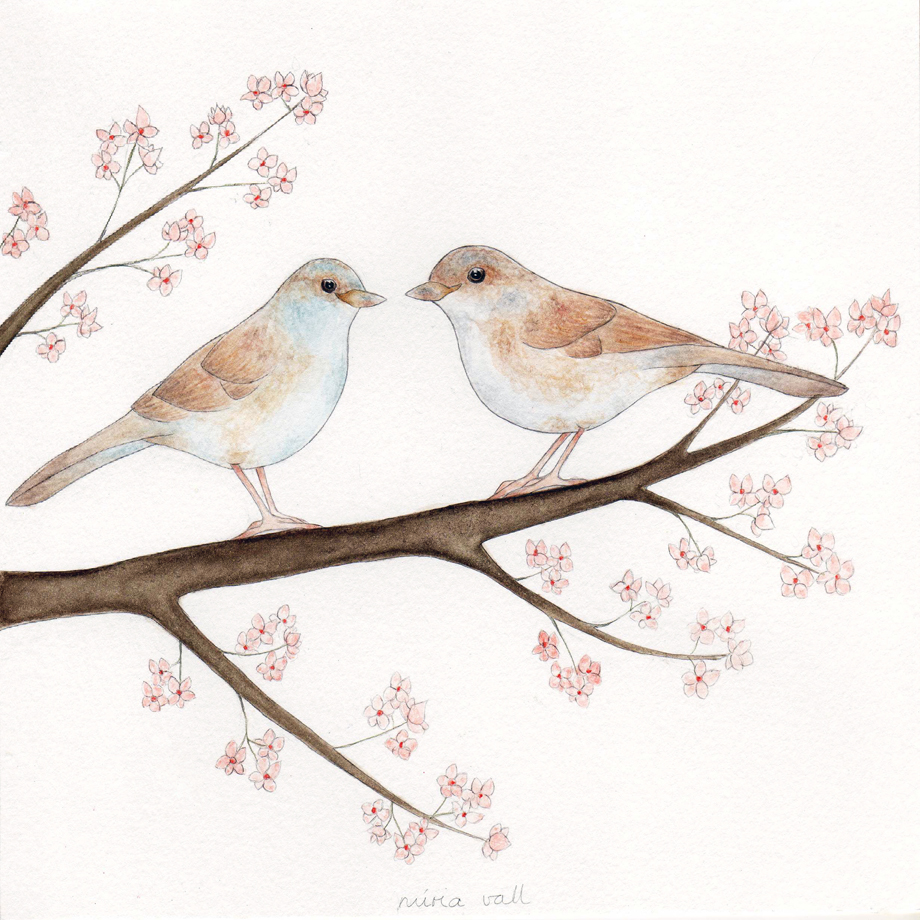 "little sparrows"